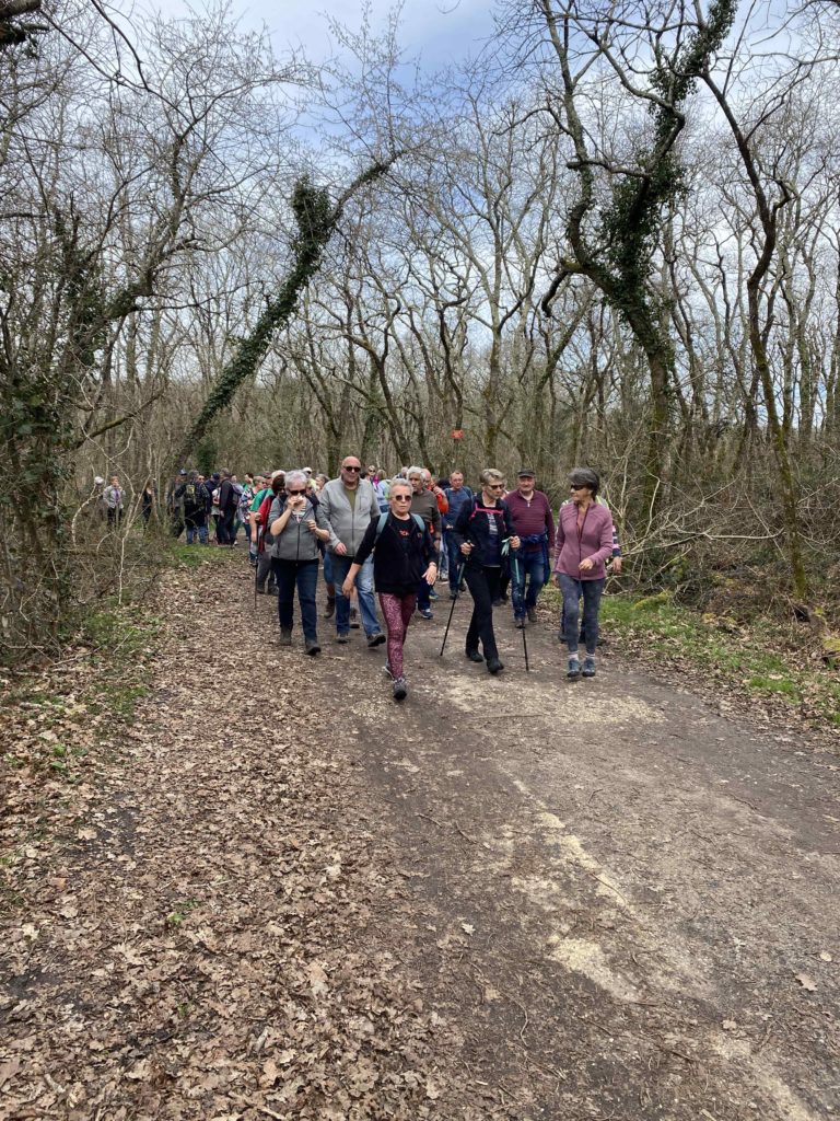 2023 03 16 RANDO DE LA TOUR DE BROUE Terre et Mer à Étaules